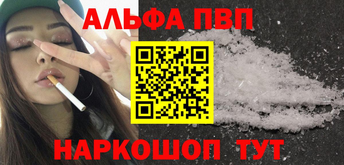 Alfa_PVP СК КРИС Кизилюрт