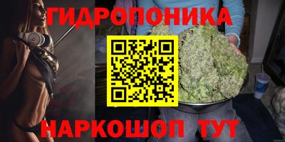 стаф Краснознаменск
