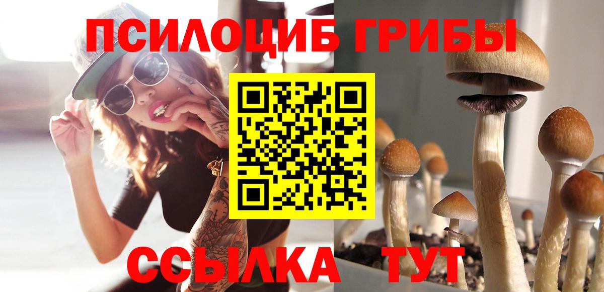 Псилоцибиновые грибы GOLDEN TEACHER  Вход с VPN  Галлюциногенные грибы прущие грибы  Кизилюрт 